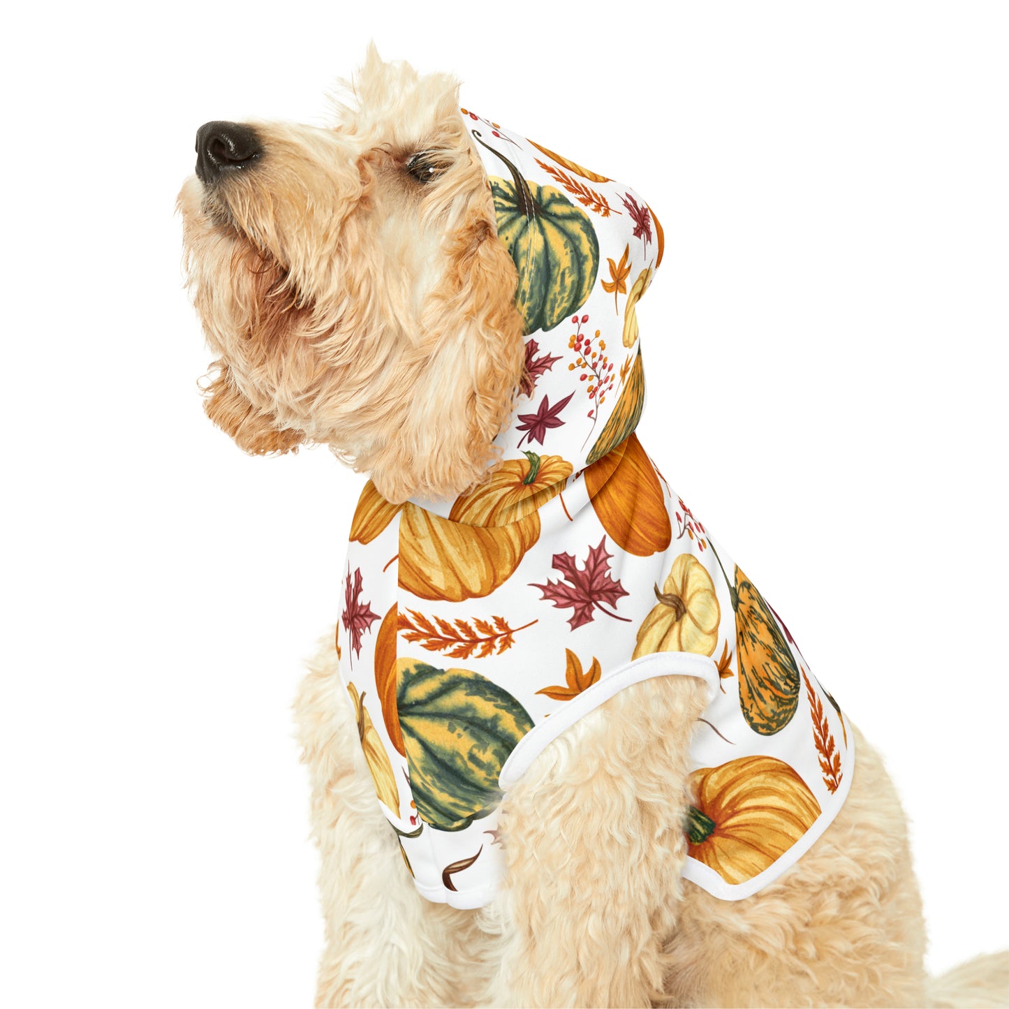 Dog Hoodie - Fall Collection (Fall 3)