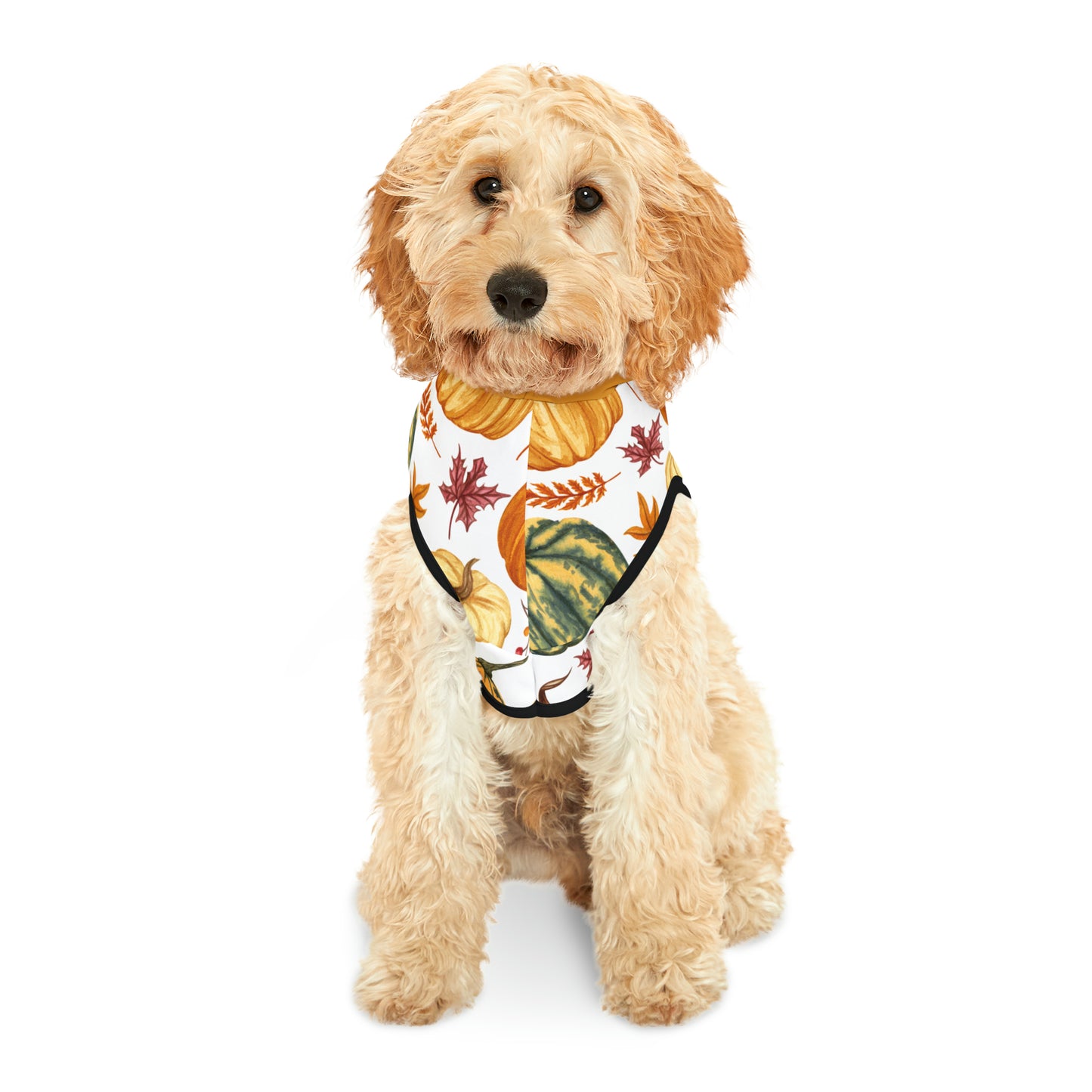 Dog Hoodie - Fall Collection (Fall 3 - With Yellow Hood)