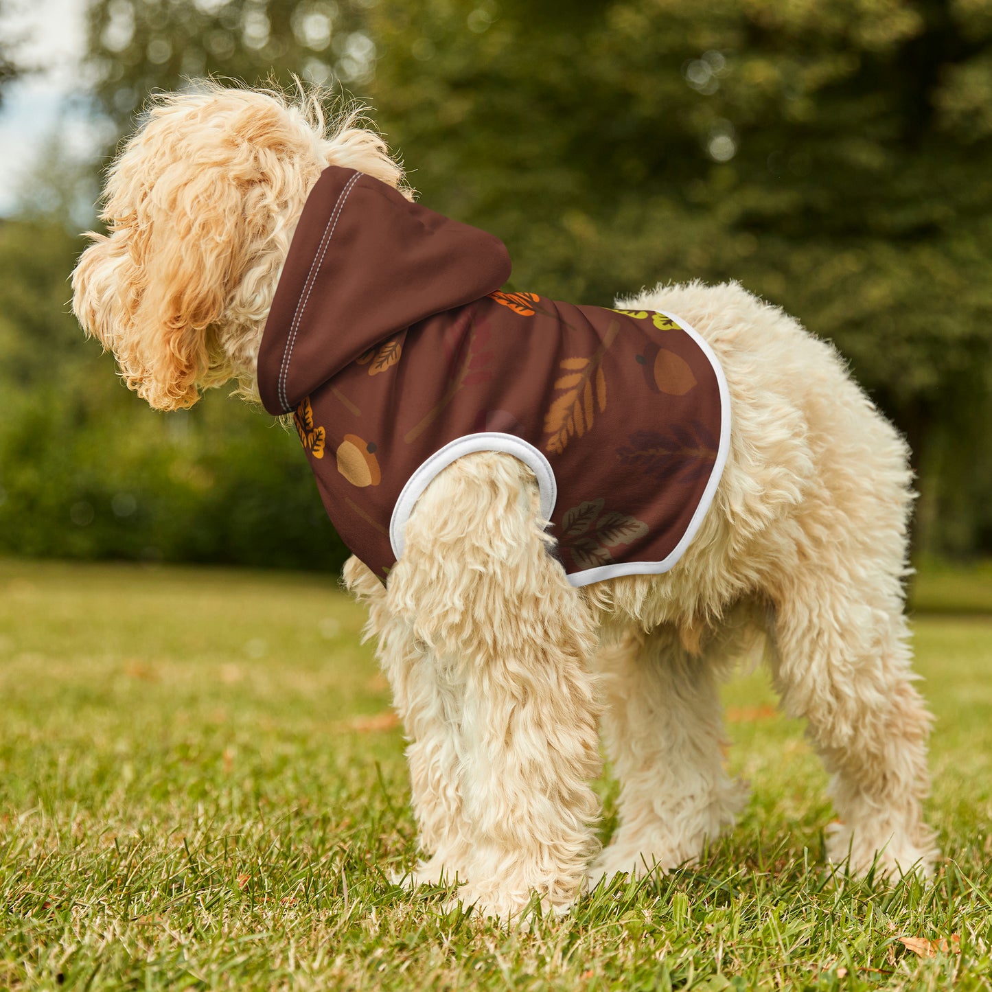 Dog Hoodie - Fall Collection (Fall 1 - With Burgundy Hood)
