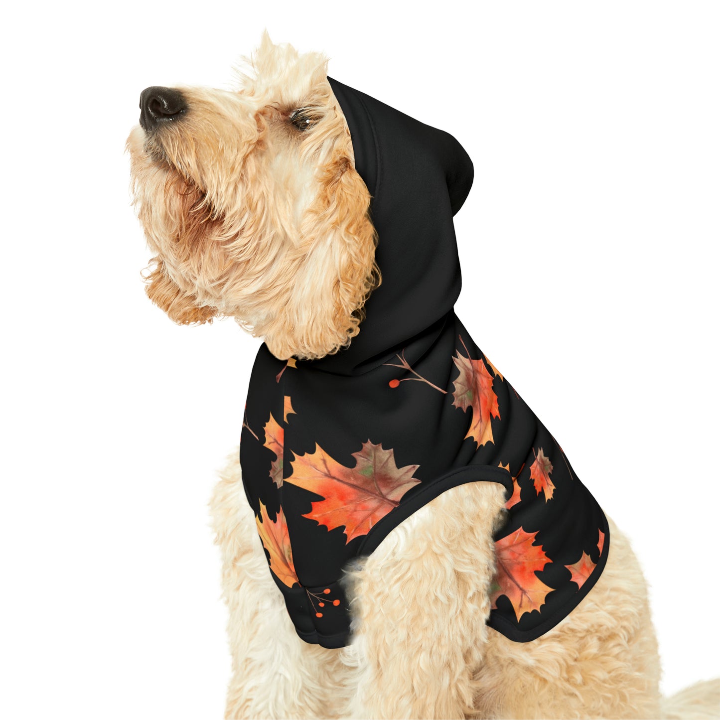 Dog Hoodie - Fall Collection (Fall 2 - With Black Hood)