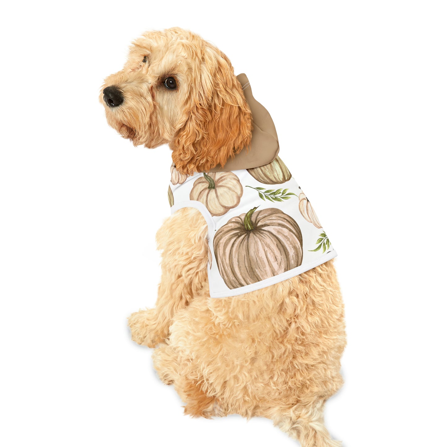 Dog Hoodie - Fall Collection (Fall 4 - With Dusty Rose Hood)