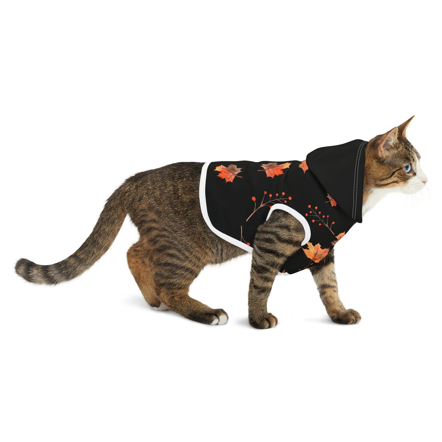 Dog Hoodie - Fall Collection (Fall 2 - With Black Hood)
