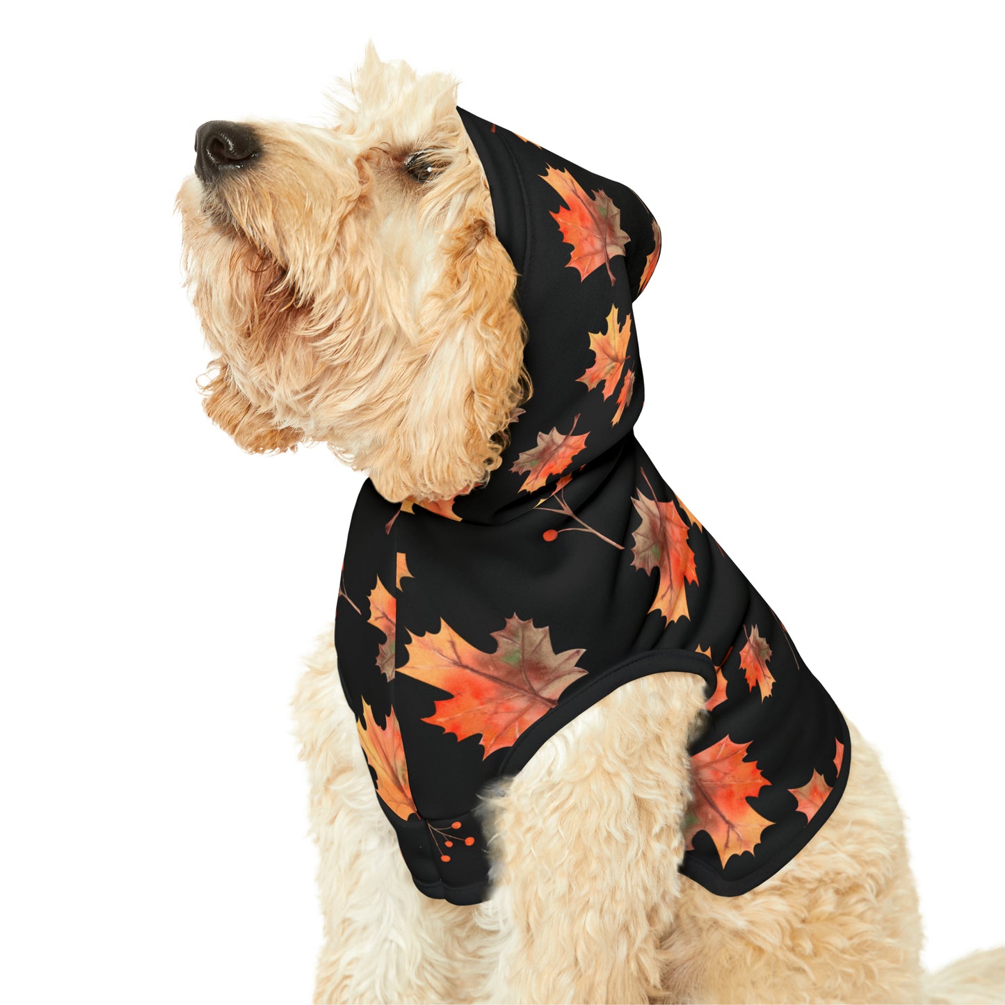 Dog Hoodie - Fall Collection (Fall 2)