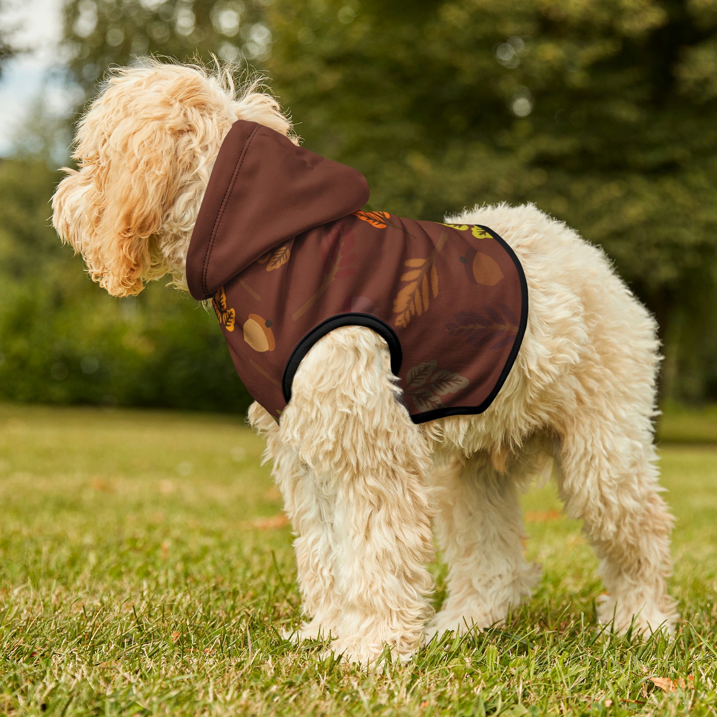 Dog Hoodie - Fall Collection (Fall 1 - With Burgundy Hood)