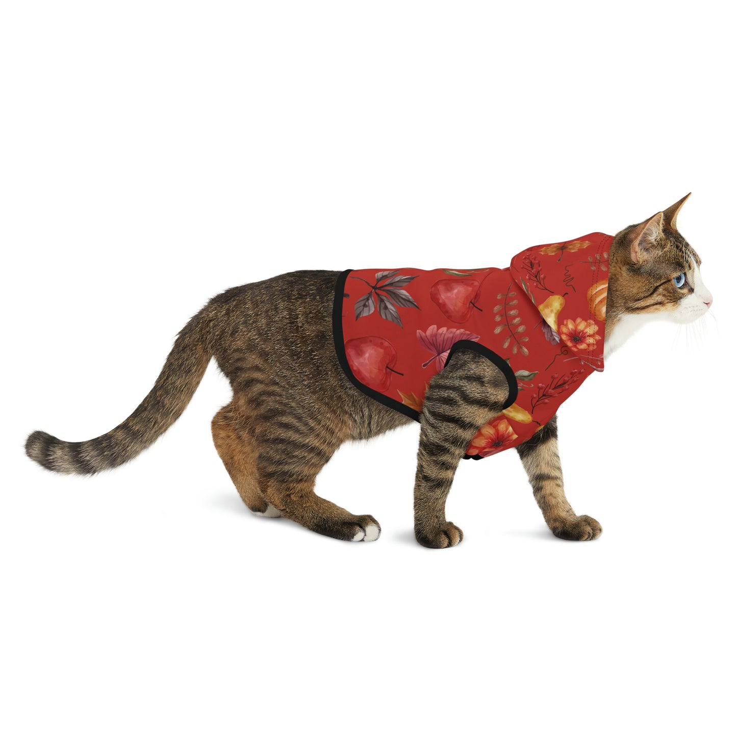 Cat Hoodie - Fall Collection (Fall 5)
