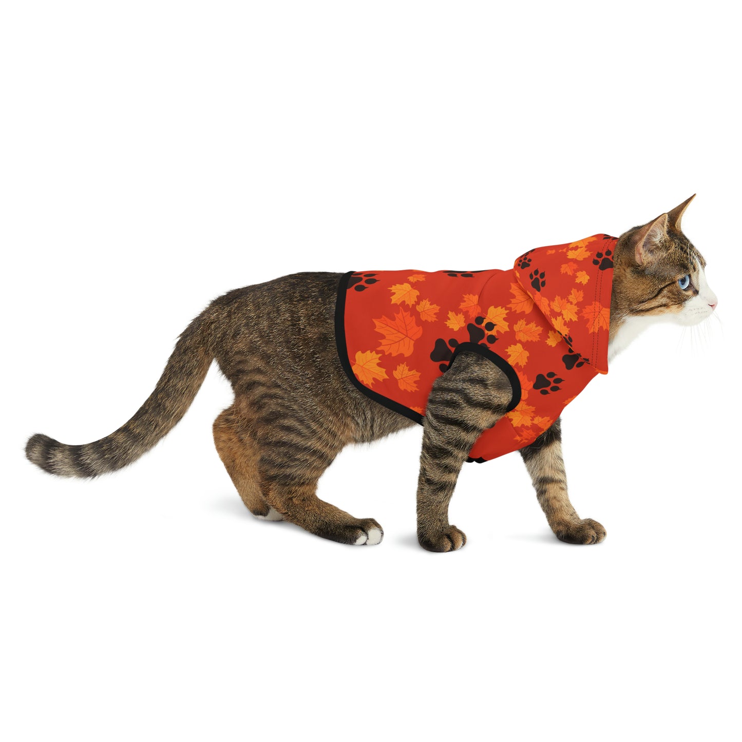Cat Hoodie - Fall Collection (Dark Orange)