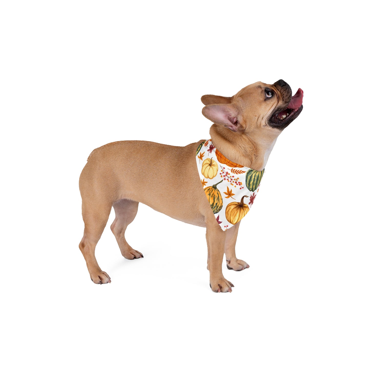 Pet Bandana - (Yellow and Green Pumpkins)