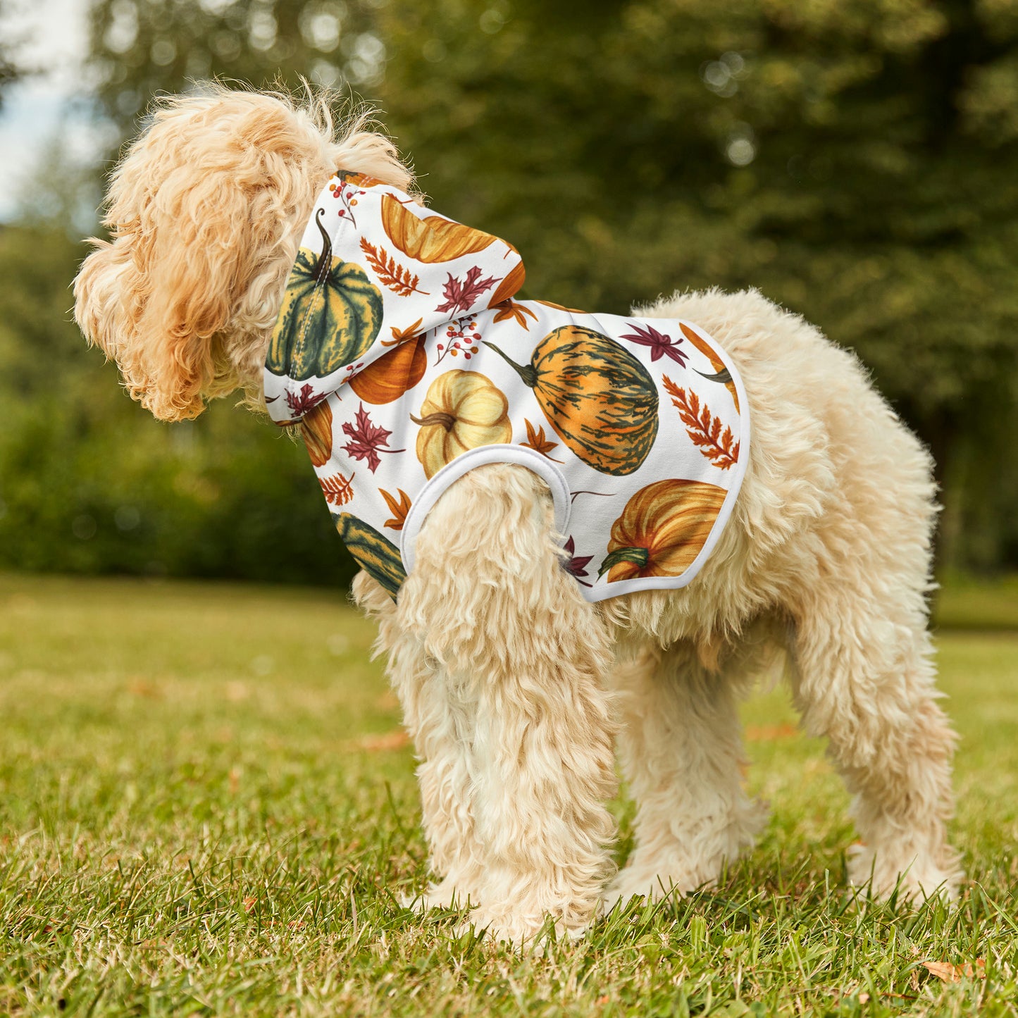 Dog Hoodie - Fall Collection (Fall 3)