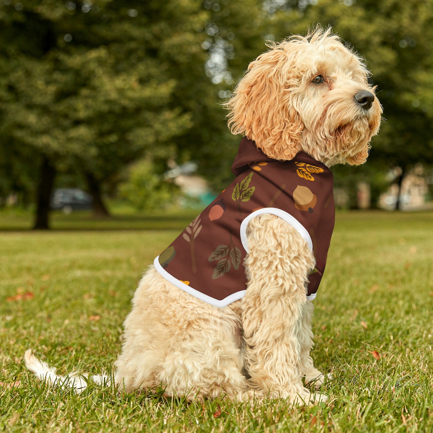 Dog Hoodie - Fall Collection (Fall 1 - With Burgundy Hood)