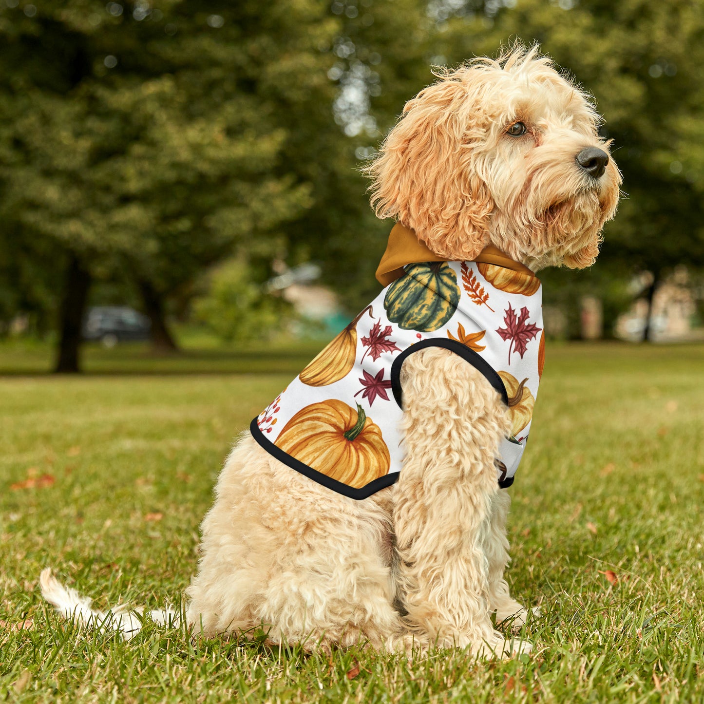 Dog Hoodie - Fall Collection (Fall 3 - With Yellow Hood)