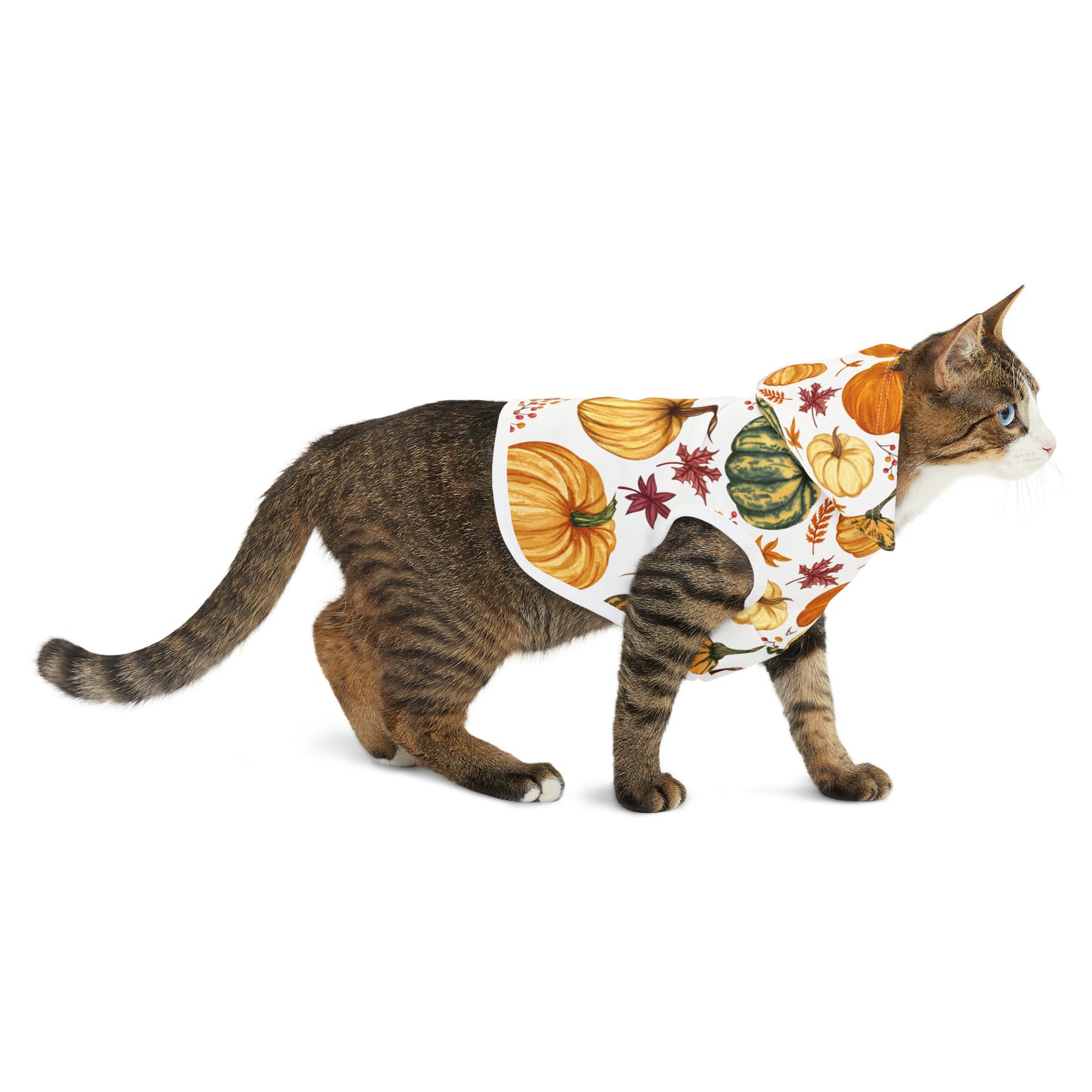 Cat Hoodie - Fall Collection (Fall 3)