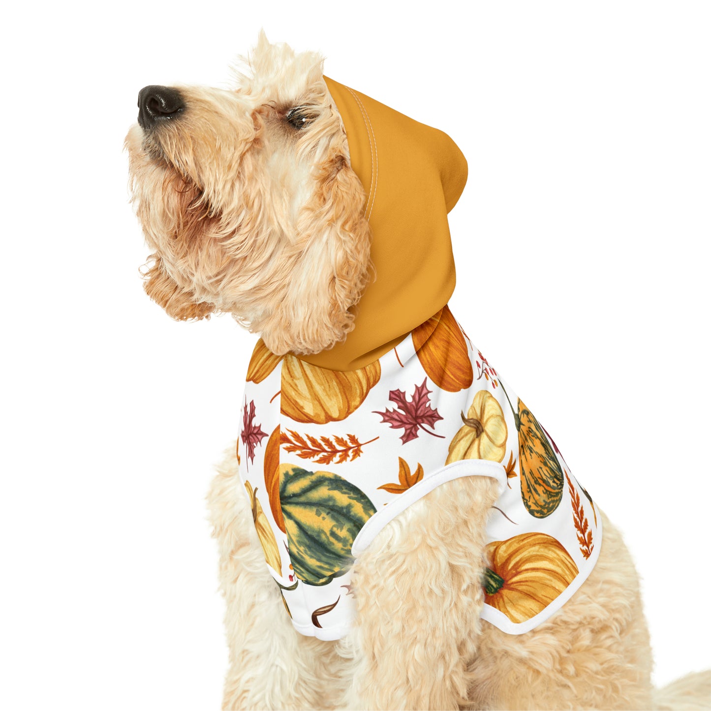 Dog Hoodie - Fall Collection (Fall 3 - With Yellow Hood)