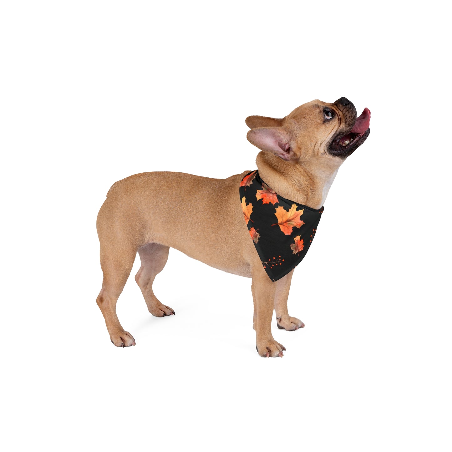 Pet Bandana - (Black with Pink Leaves)