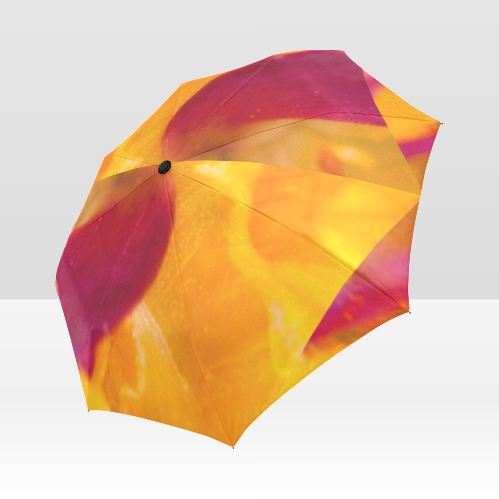 Fuschia and Gold Delight Umbrella