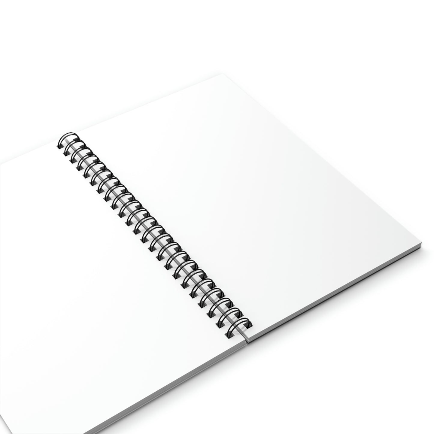 A Friend Is Worth More Than Money Spiral Journal