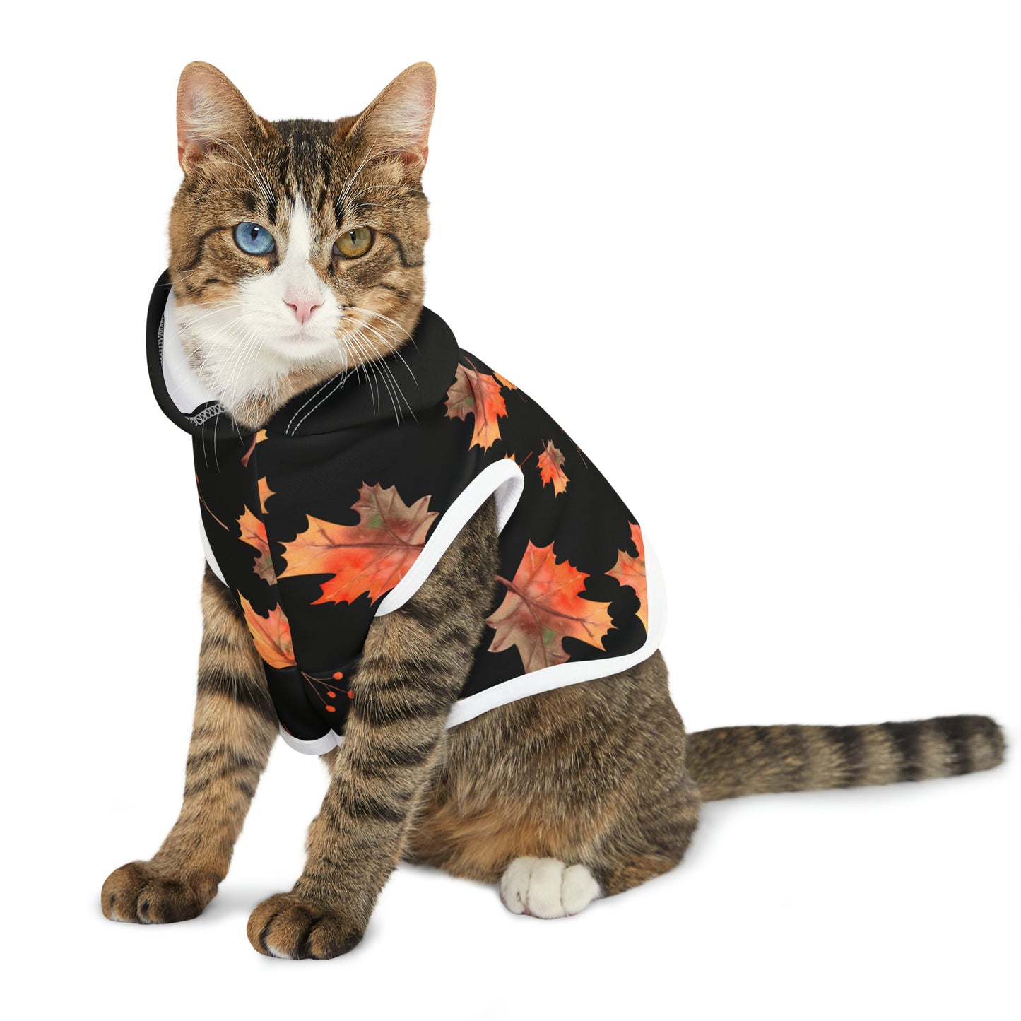 Cat Hoodie - Fall Collection (Fall 2 - With Black Hood)