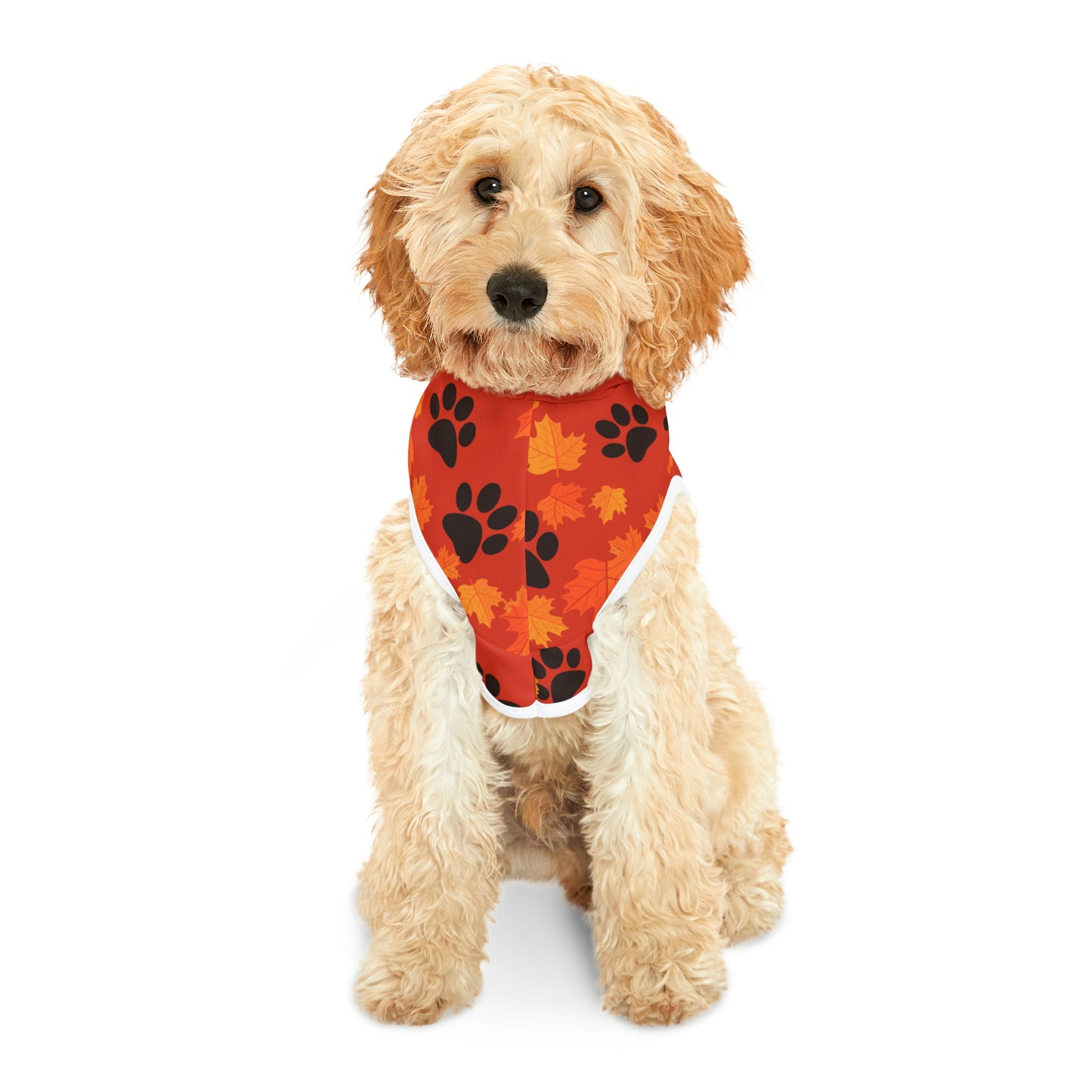 Dog Hoodie - Fall Collection (Dark Orange - with Dark Orange Hood)