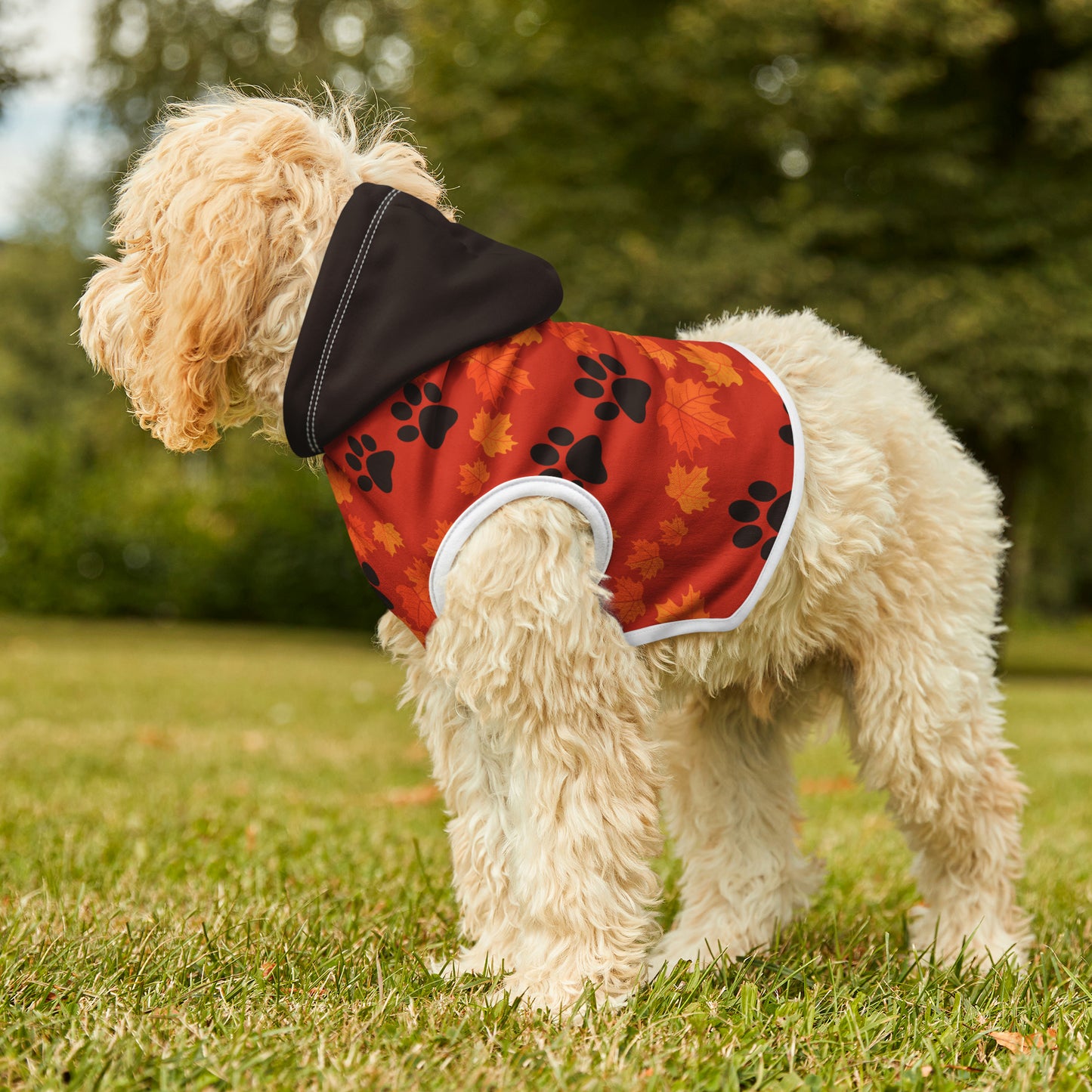 Dog Hoodie - Fall Collection (Dark Orange - With Dark Brown Hood)