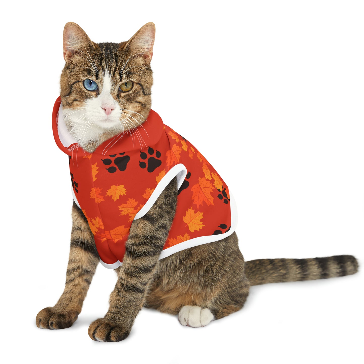 Cat Hoodie - Fall Collection (Dark Orange - with Dark Orange Hood)