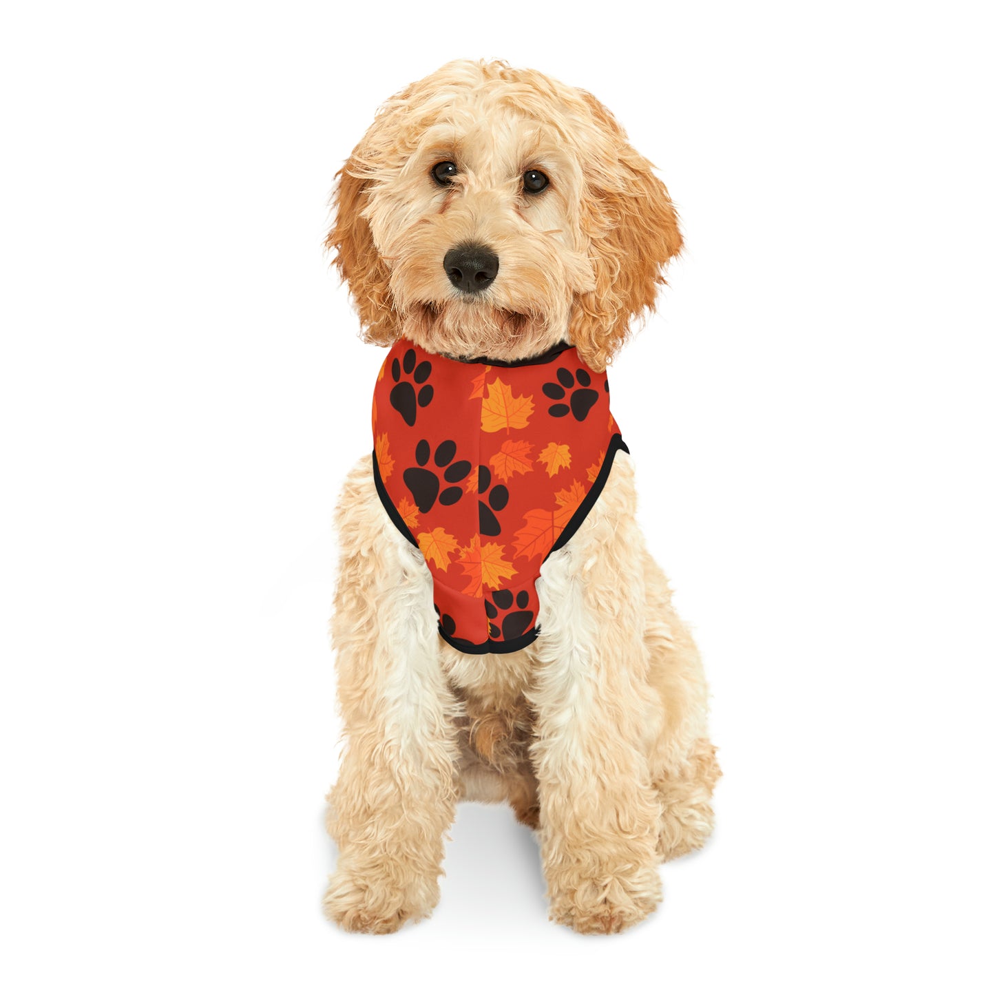 Dog Hoodie - Fall Collection (Dark Orange - With Dark Brown Hood)