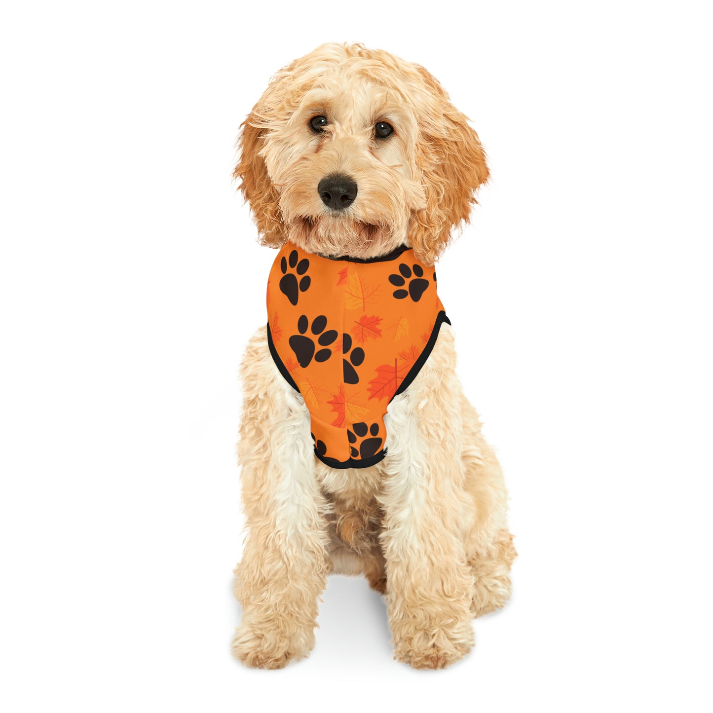 Dog Hoodie - Fall Collection (Light Orange - With Dark Brown Hood)