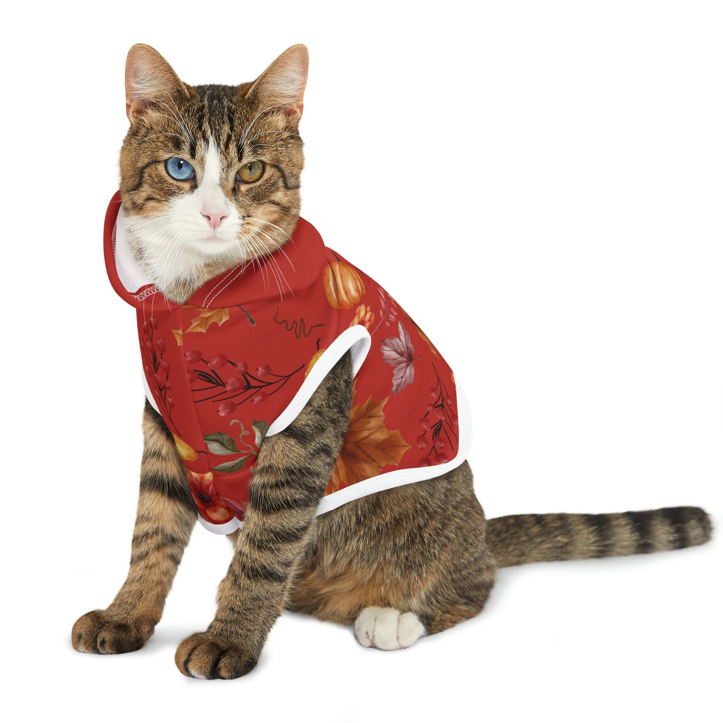 Cat Hoodie - Fall Collection (Fall 5 - With Maroon Hood)