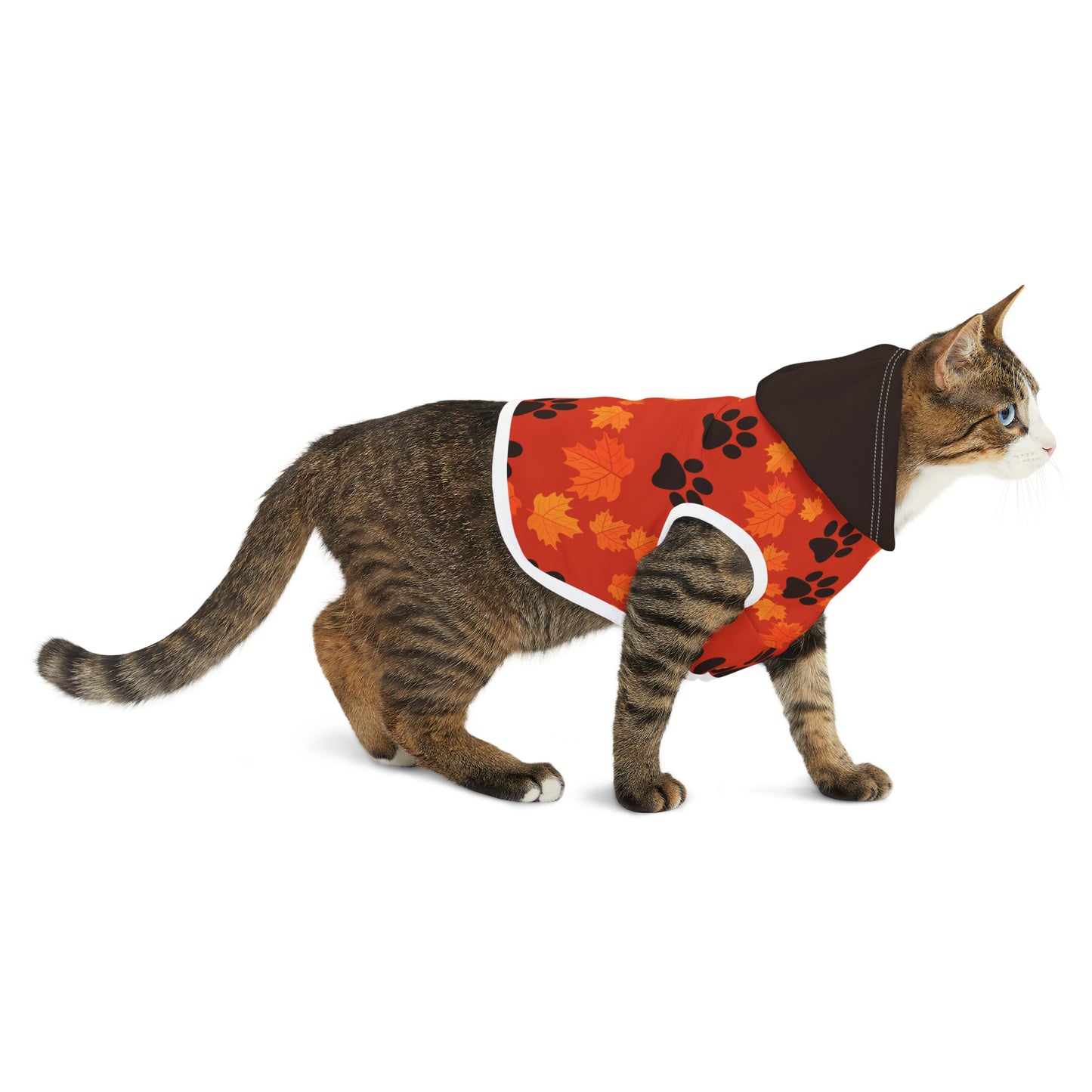 Dog Hoodie - Fall Collection (Dark Orange - With Dark Brown Hood)