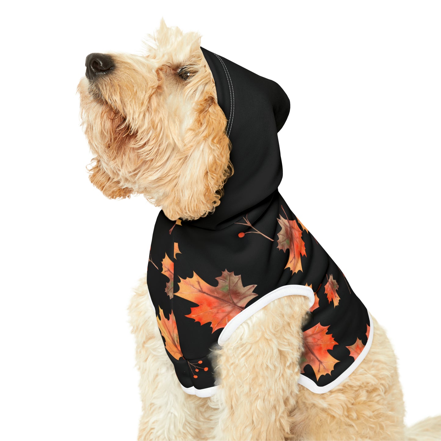 Dog Hoodie - Fall Collection (Fall 2 - With Black Hood)