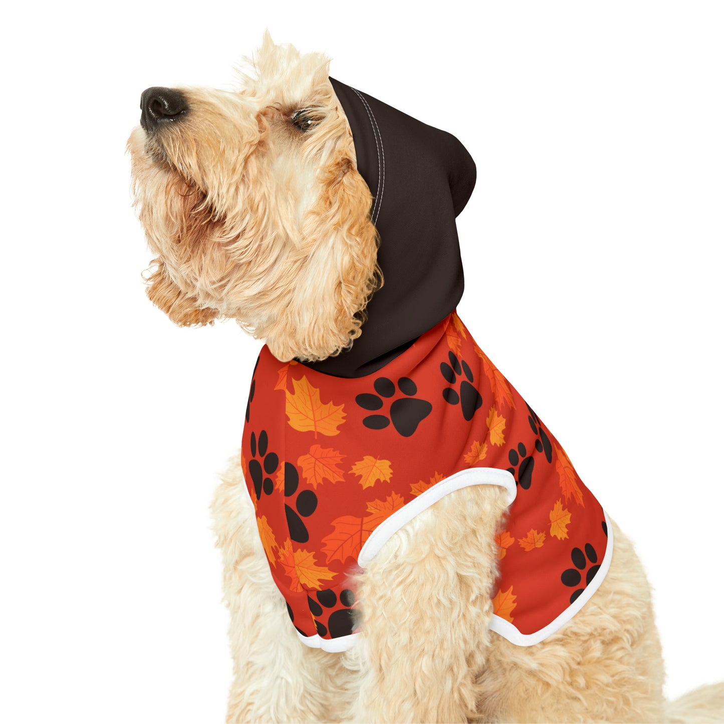 Dog Hoodie - Fall Collection (Dark Orange - With Dark Brown Hood)