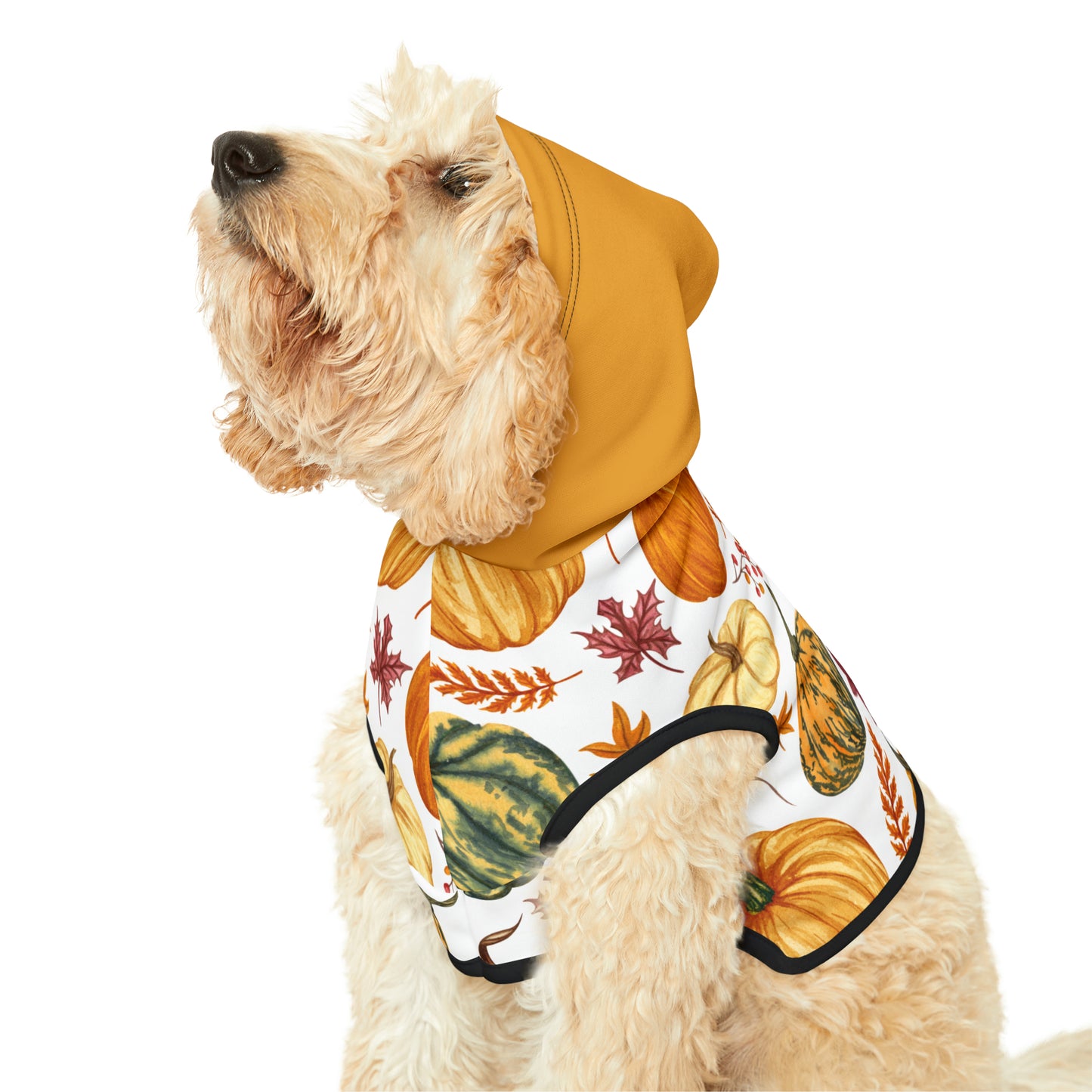 Dog Hoodie - Fall Collection (Fall 3 - With Yellow Hood)