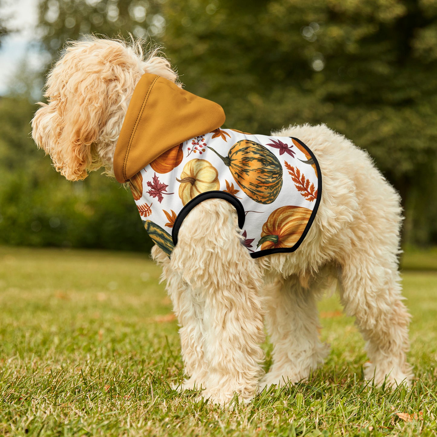 Dog Hoodie - Fall Collection (Fall 3 - With Yellow Hood)