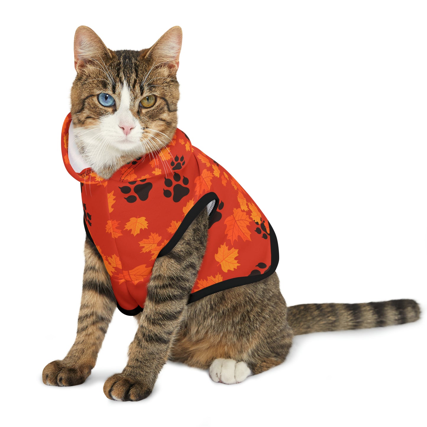 Cat Hoodie - Fall Collection (Dark Orange)
