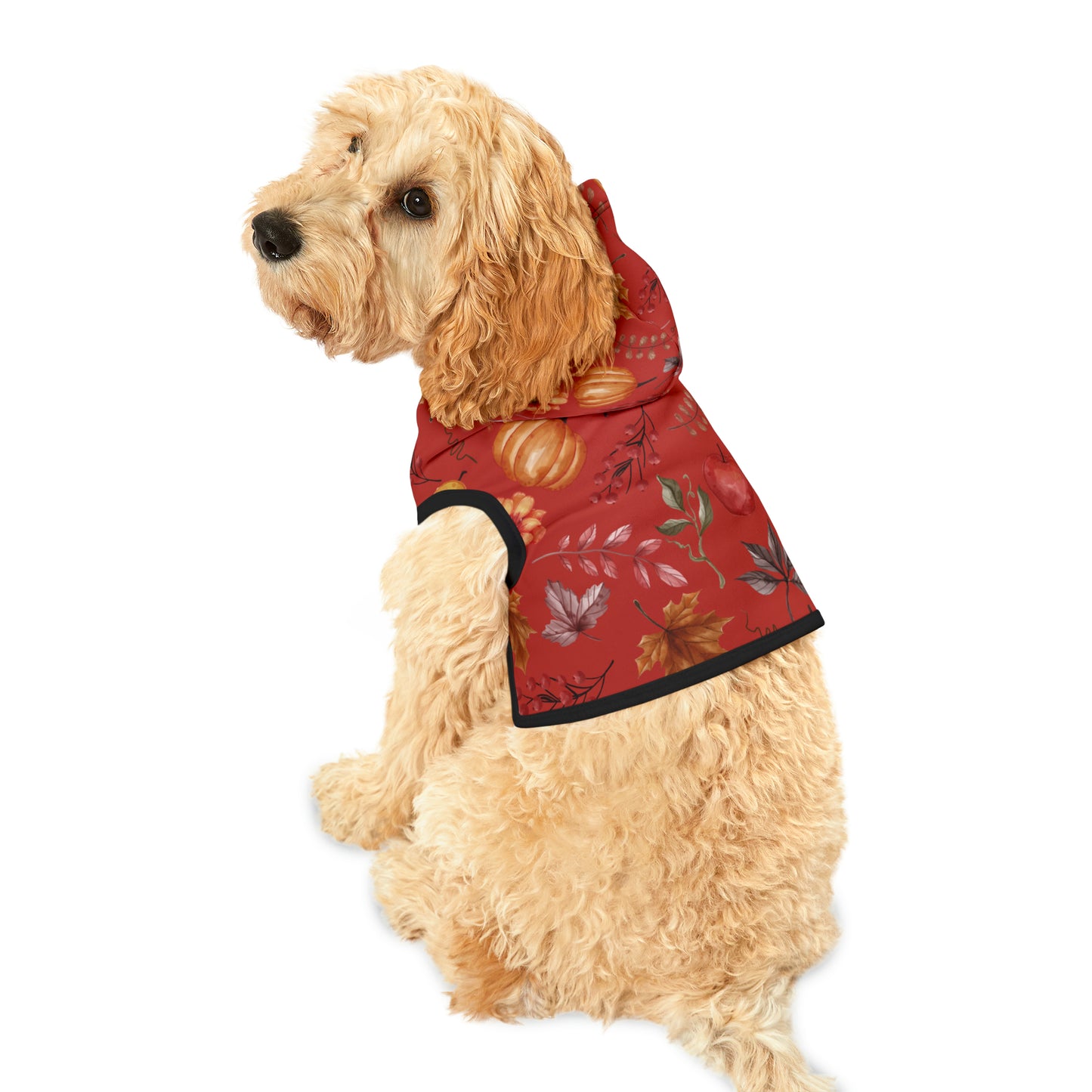 Dog Hoodie - Fall Collection (Fall 5)