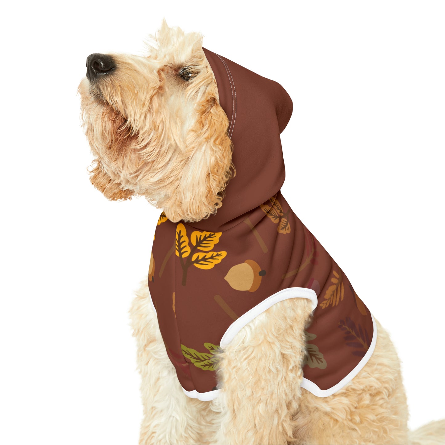 Dog Hoodie - Fall Collection (Fall 1 - With Burgundy Hood)