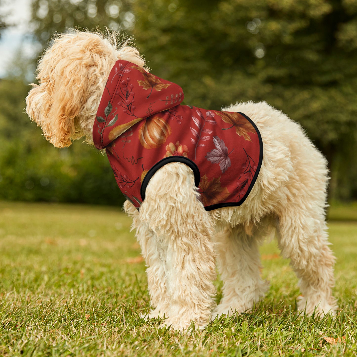Dog Hoodie - Fall Collection (Fall 5)