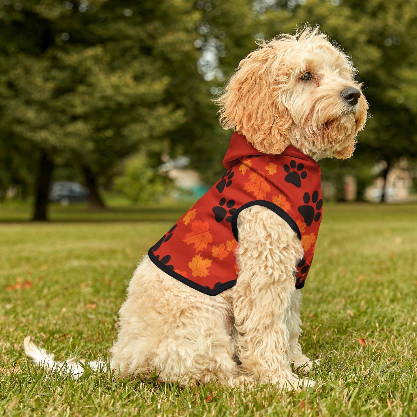 Dog Hoodie - Fall Collection (Dark Orange - with Dark Orange Hood)