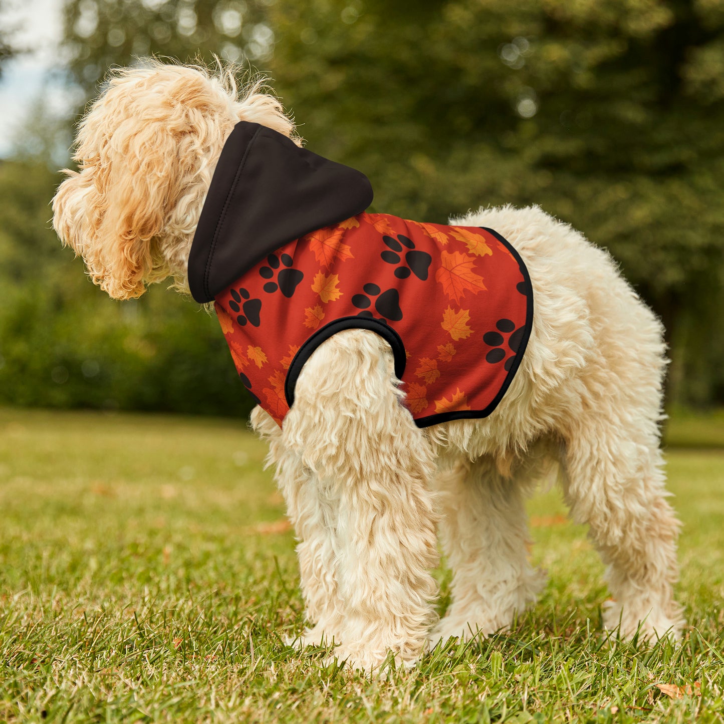 Dog Hoodie - Fall Collection (Dark Orange - With Dark Brown Hood)