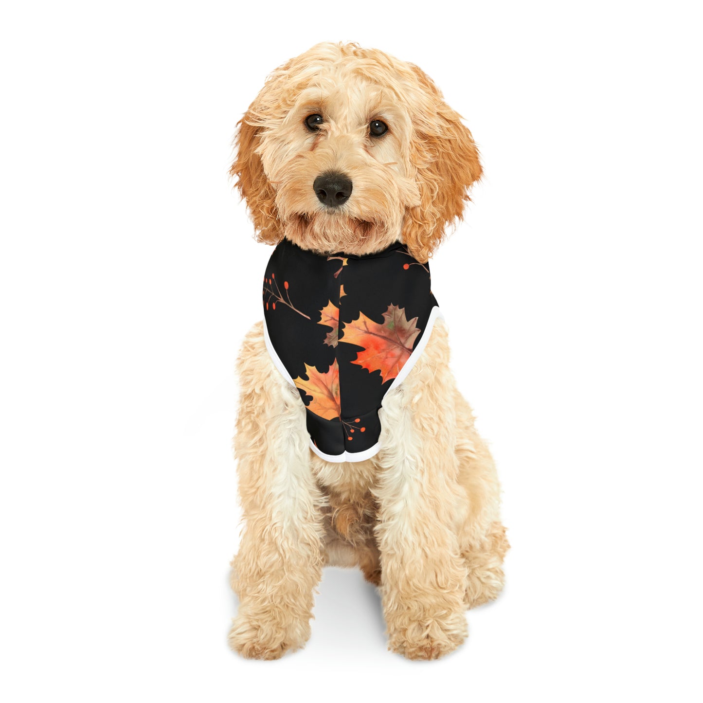 Dog Hoodie - Fall Collection (Fall 2 - With Black Hood)