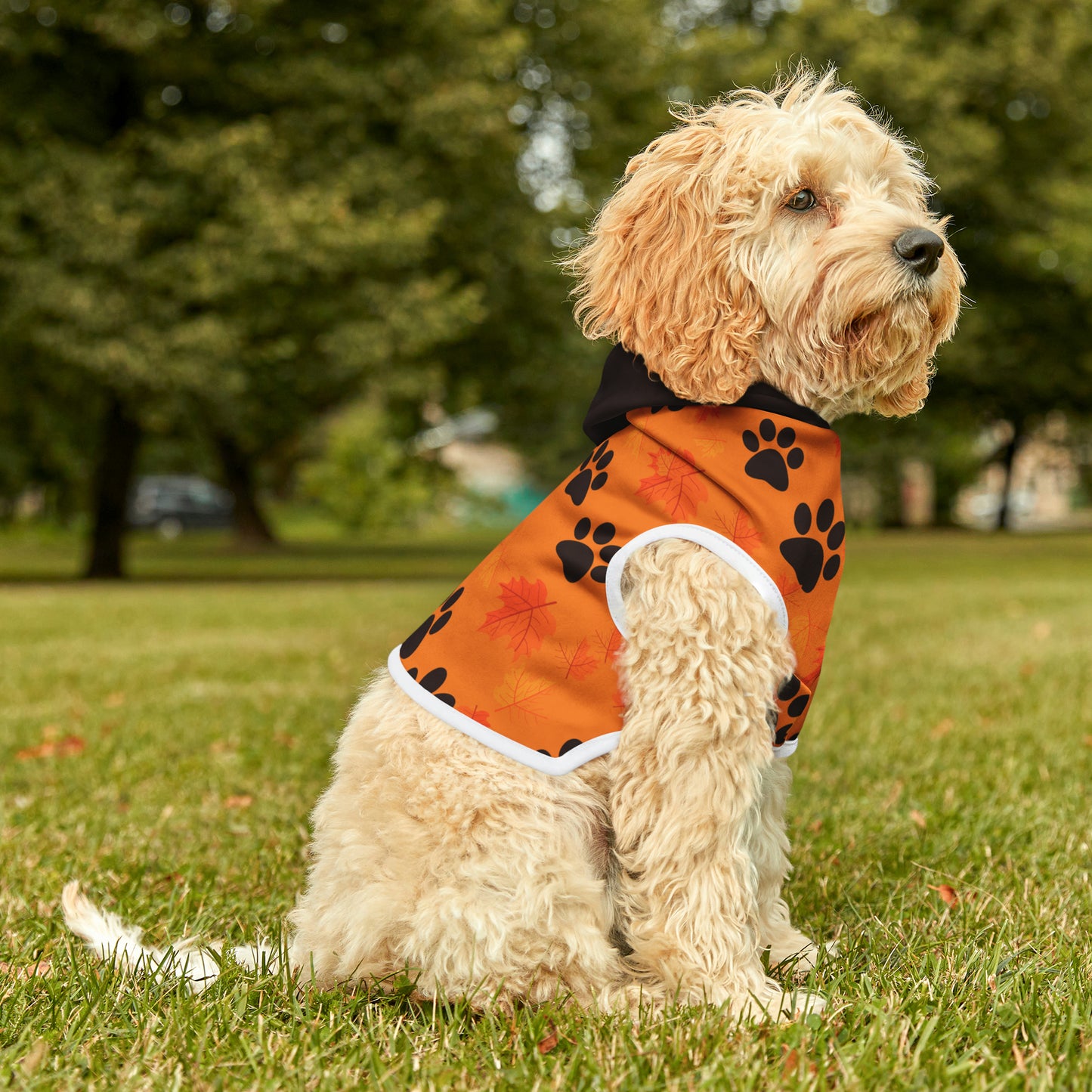 Dog Hoodie - Fall Collection (Light Orange - With Dark Brown Hood)