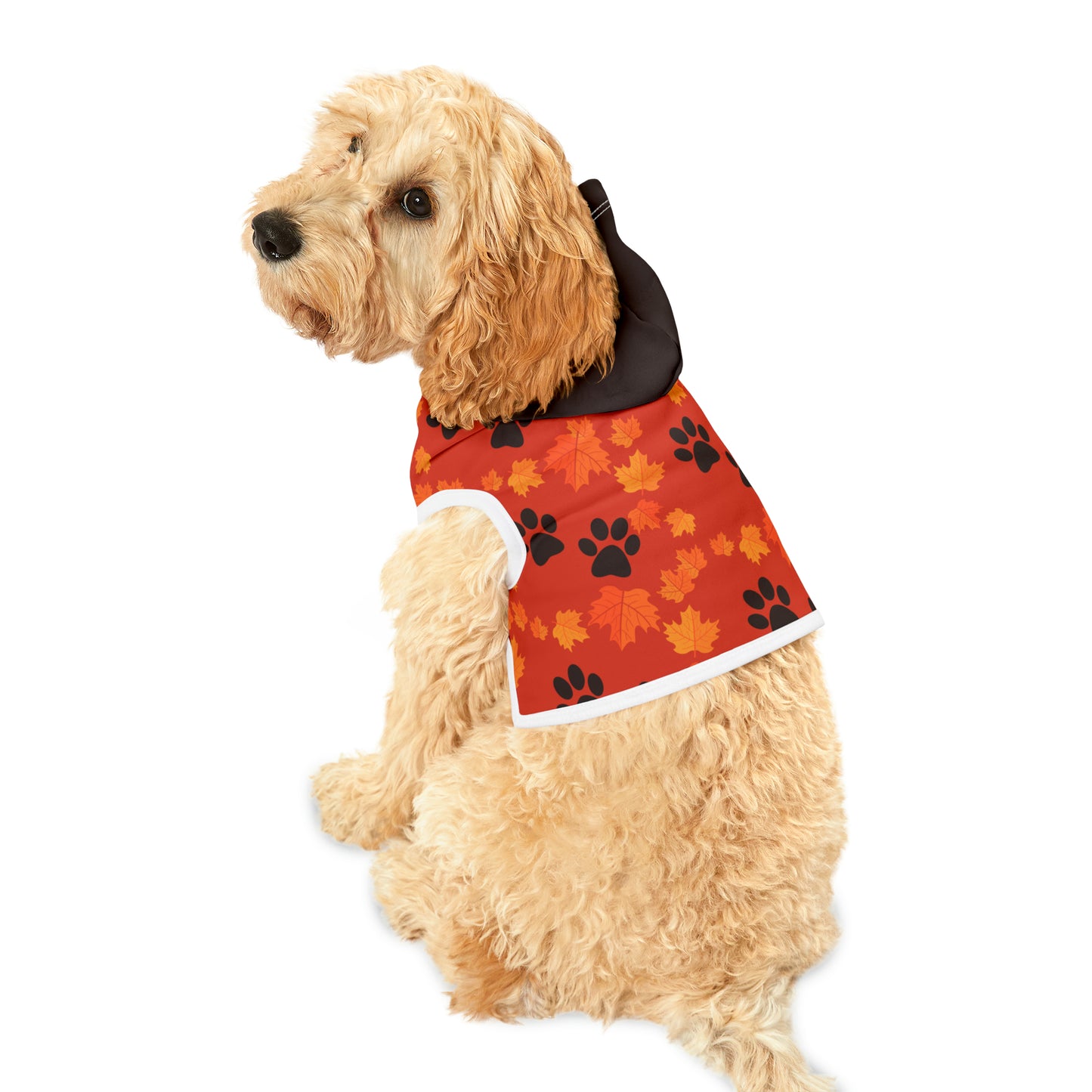 Dog Hoodie - Fall Collection (Dark Orange - With Dark Brown Hood)