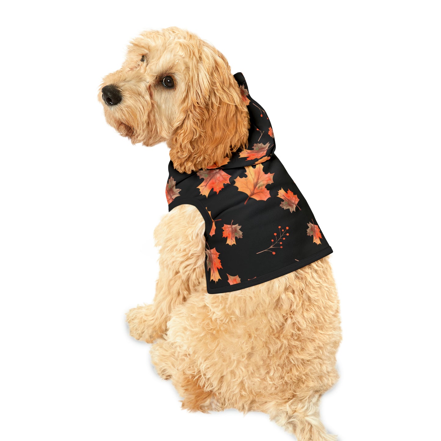 Dog Hoodie - Fall Collection (Fall 2)
