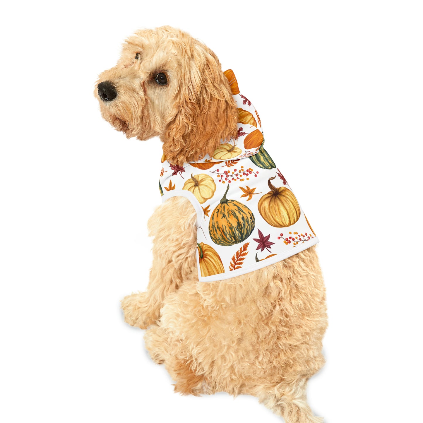 Dog Hoodie - Fall Collection (Fall 3)