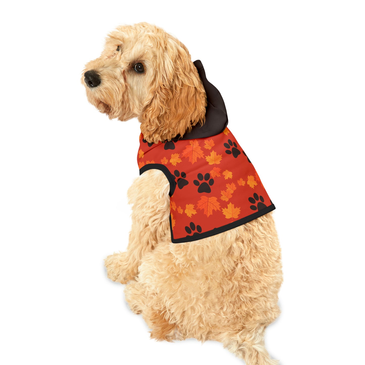 Dog Hoodie - Fall Collection (Dark Orange - With Dark Brown Hood)