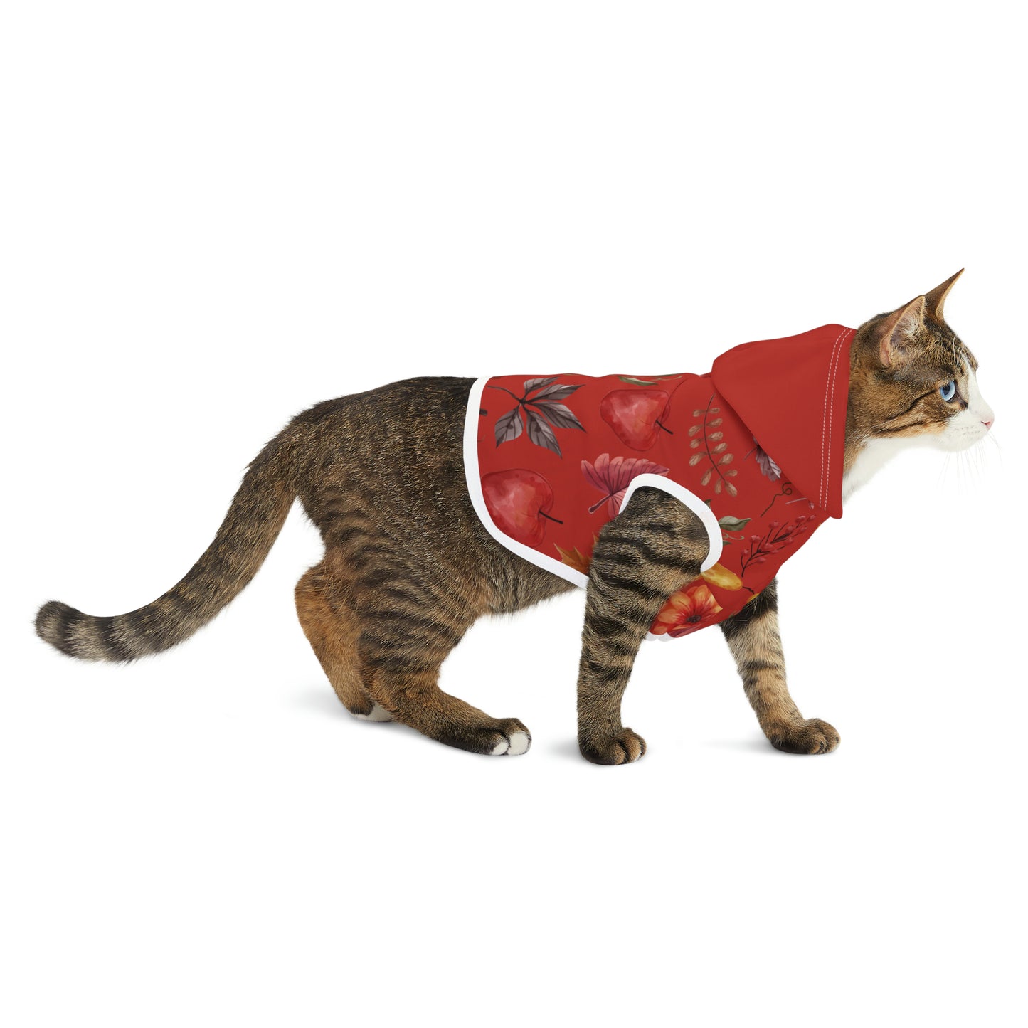 Cat Hoodie - Fall Collection (Fall 5 - With Maroon Hood)