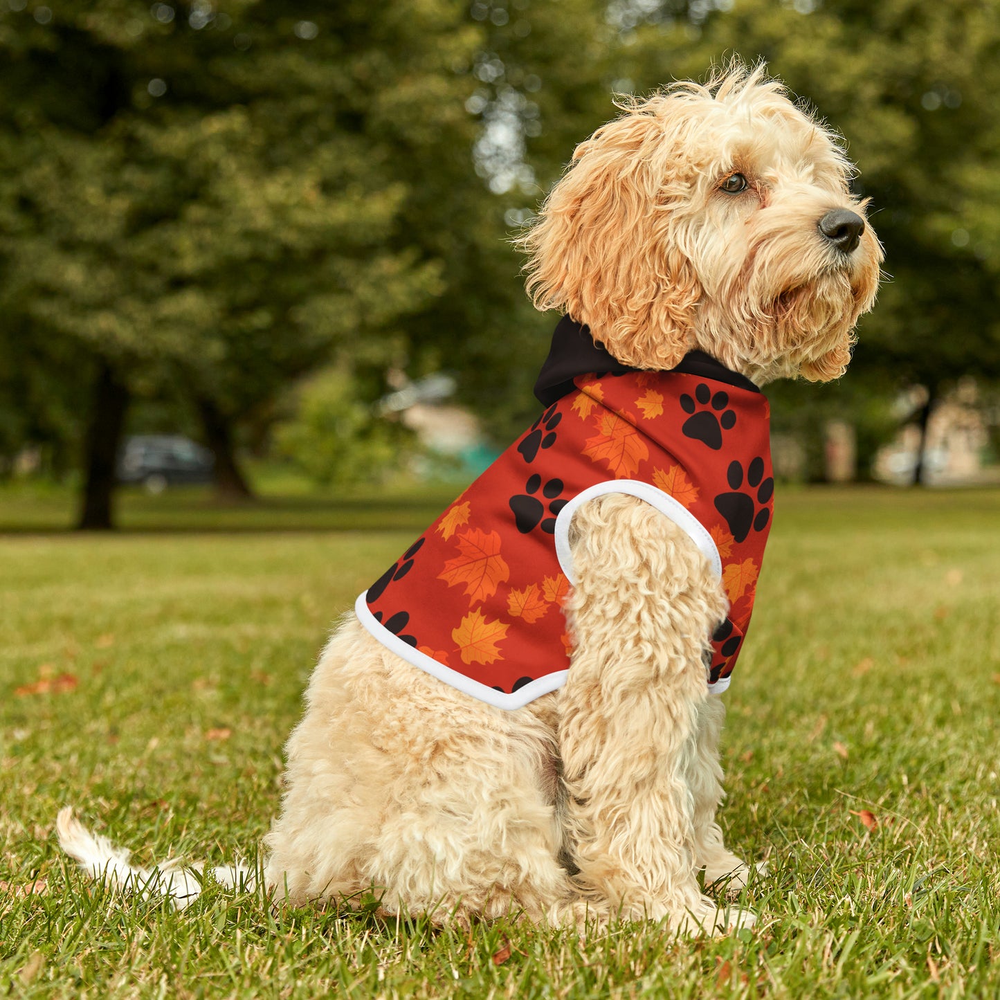 Dog Hoodie - Fall Collection (Dark Orange - With Dark Brown Hood)