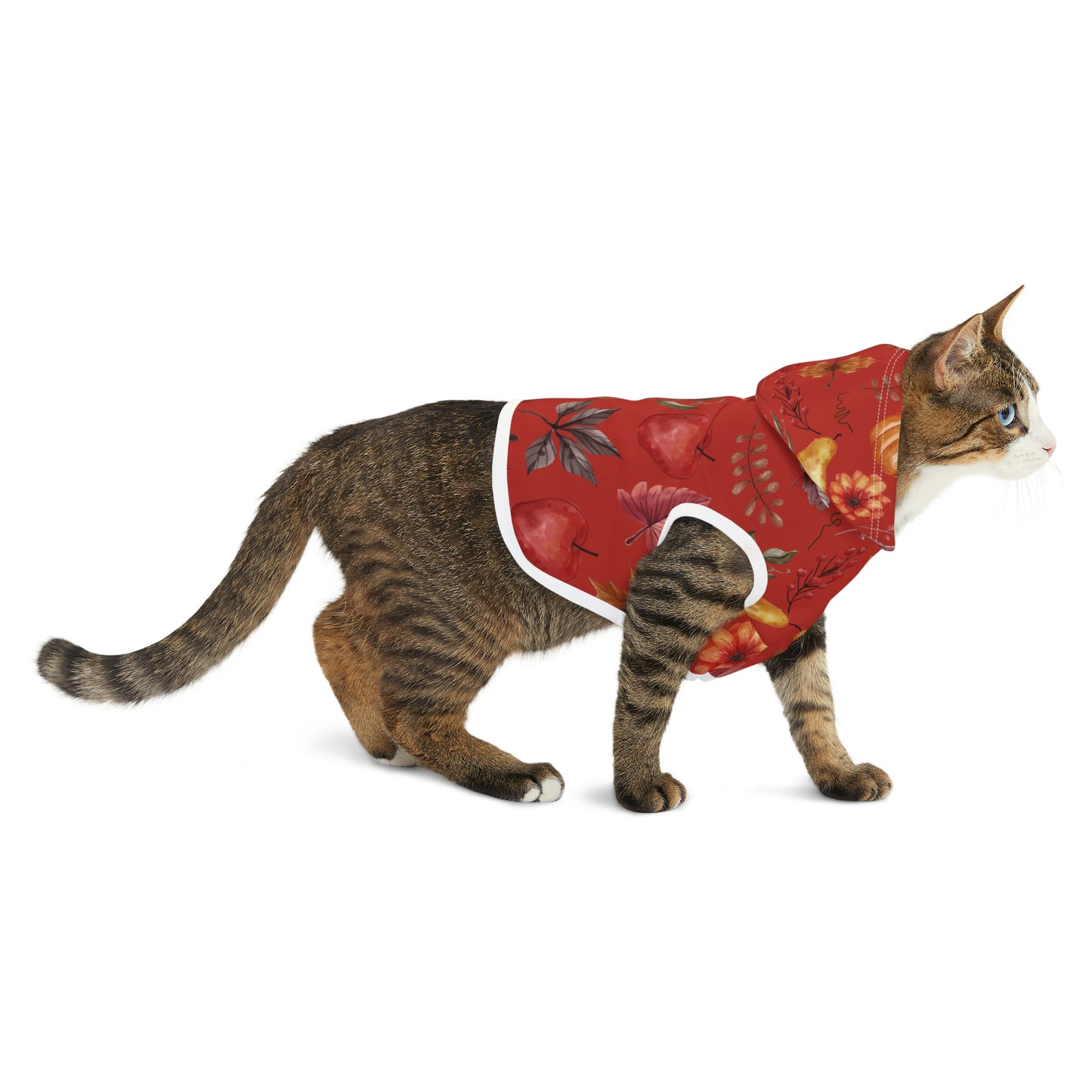 Cat Hoodie - Fall Collection (Fall 5)