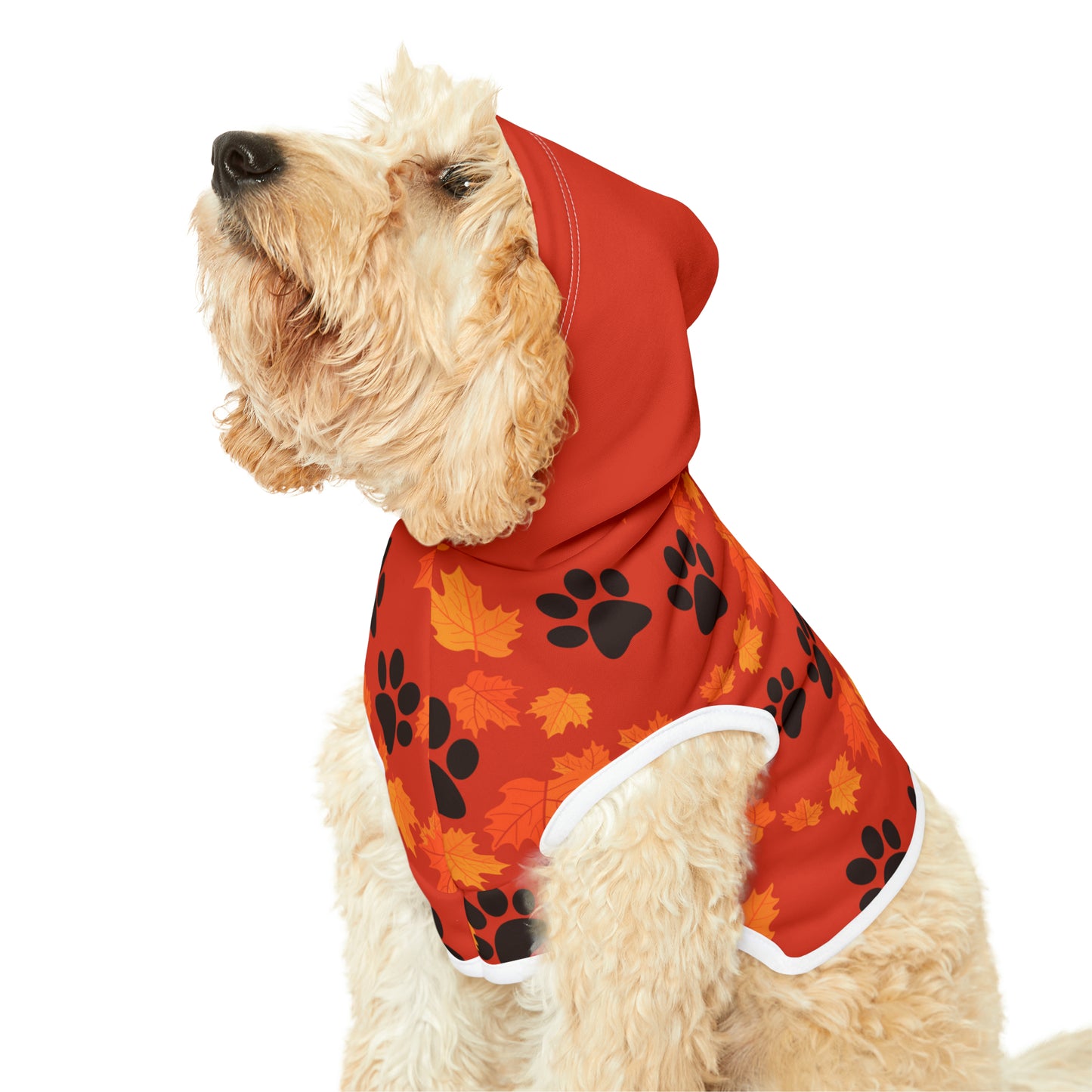 Dog Hoodie - Fall Collection (Dark Orange - with Dark Orange Hood)