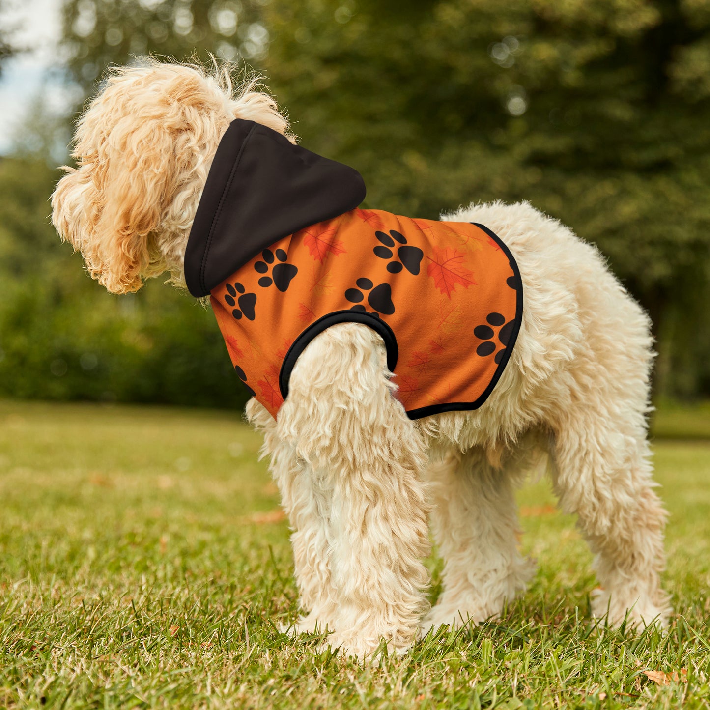 Dog Hoodie - Fall Collection (Light Orange - With Dark Brown Hood)