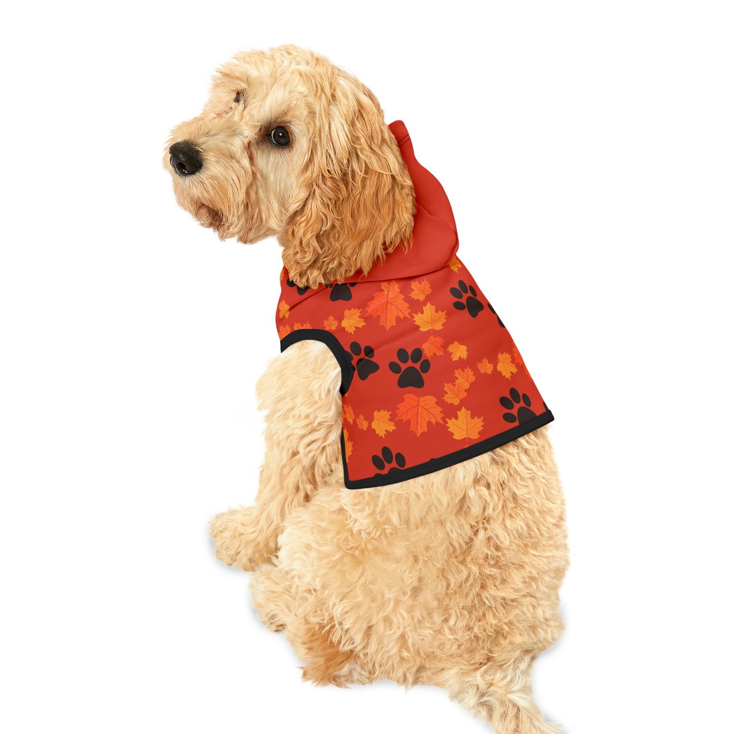 Dog Hoodie - Fall Collection (Dark Orange - with Dark Orange Hood)