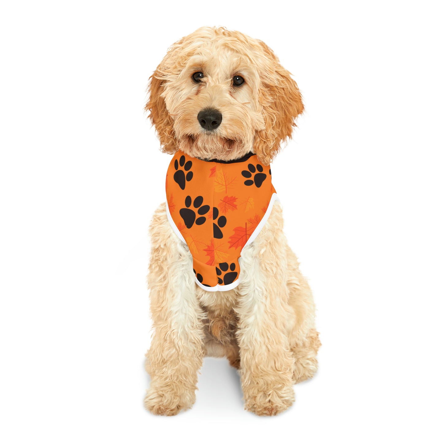 Dog Hoodie - Fall Collection (Light Orange - With Dark Brown Hood)